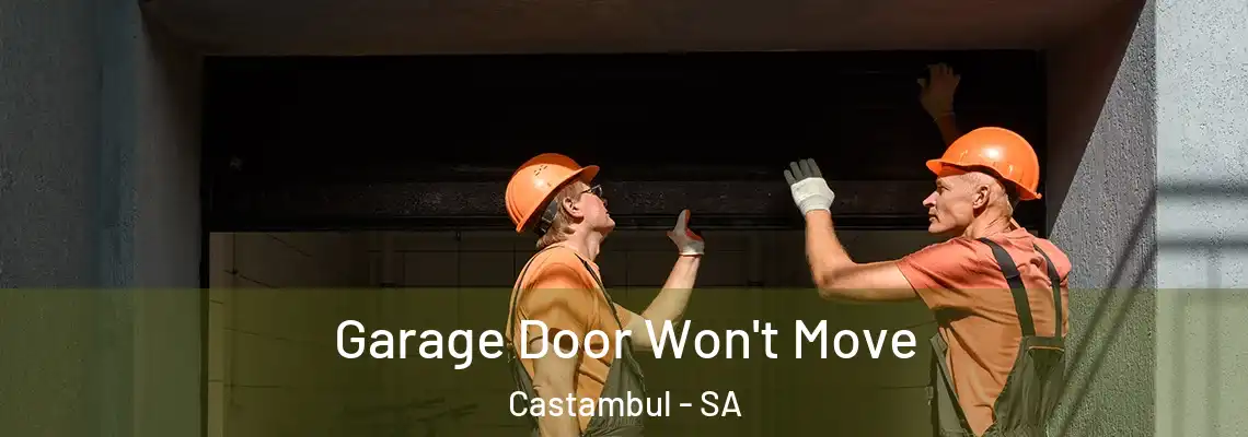 Garage Door Won't Move Castambul - SA