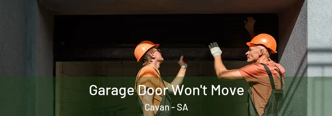 Garage Door Won't Move Cavan - SA