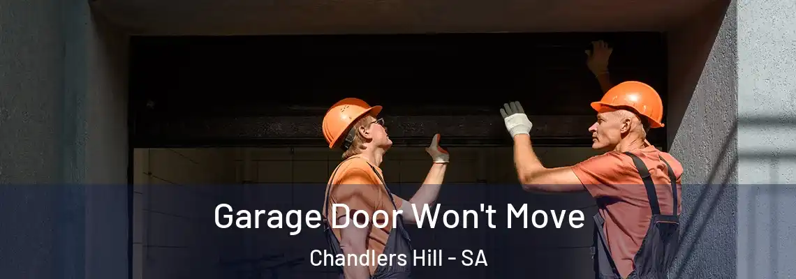 Garage Door Won't Move Chandlers Hill - SA