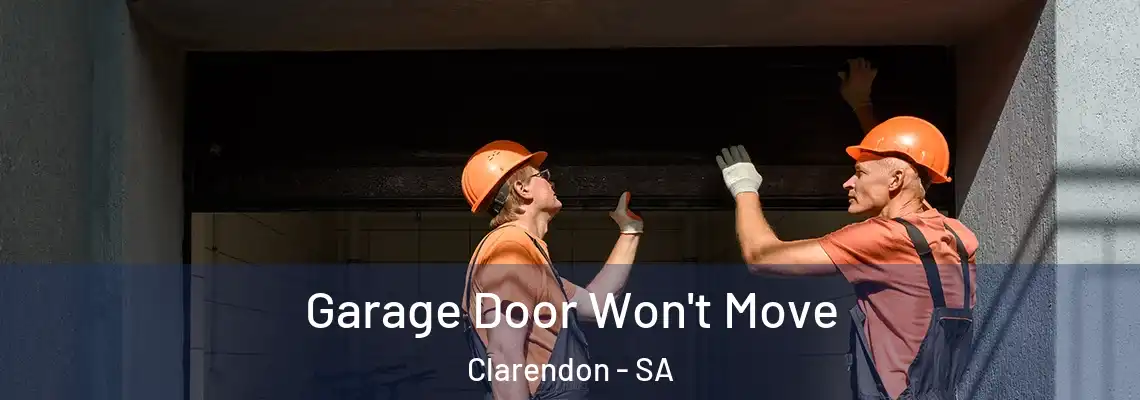 Garage Door Won't Move Clarendon - SA