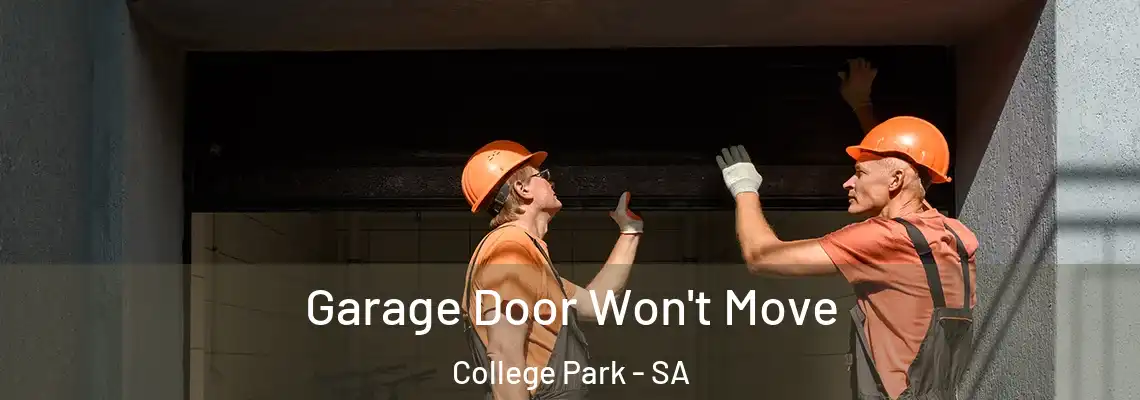Garage Door Won't Move College Park - SA