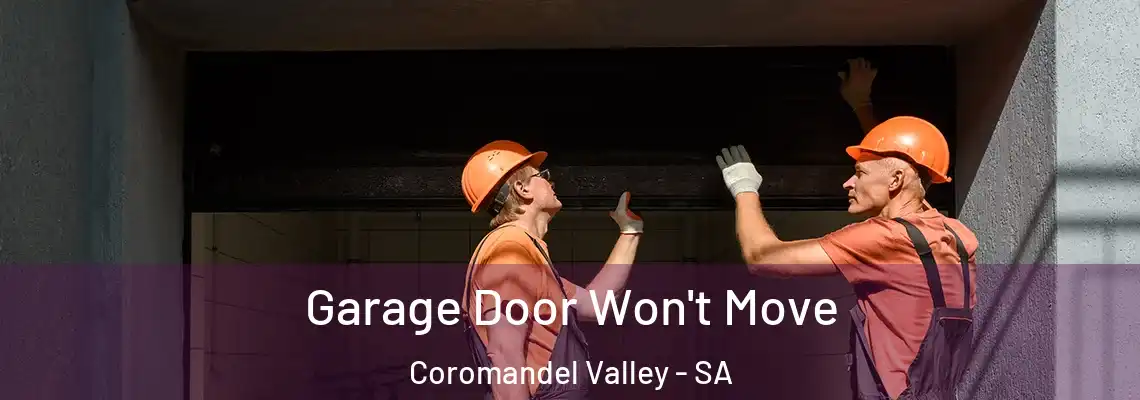  Garage Door Won't Move Coromandel Valley - SA