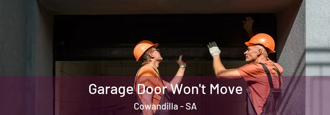 Garage Door Won't Move Cowandilla - SA
