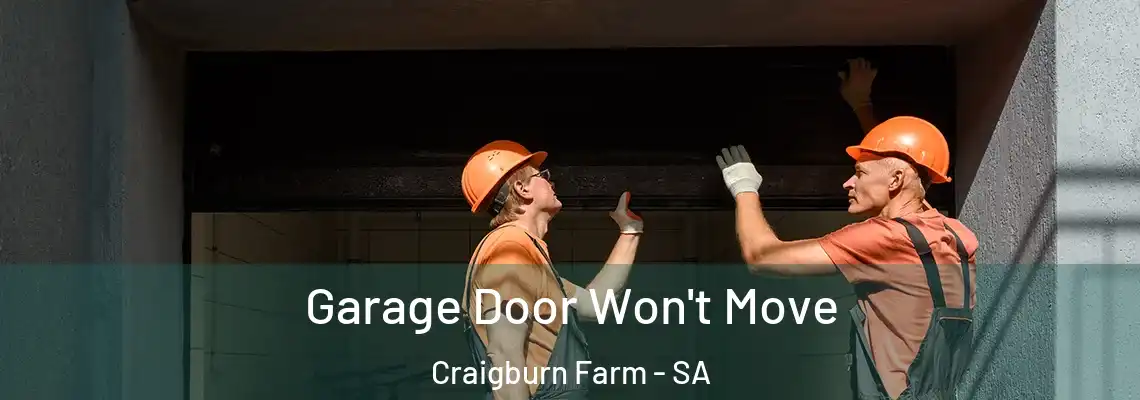 Garage Door Won't Move Craigburn Farm - SA
