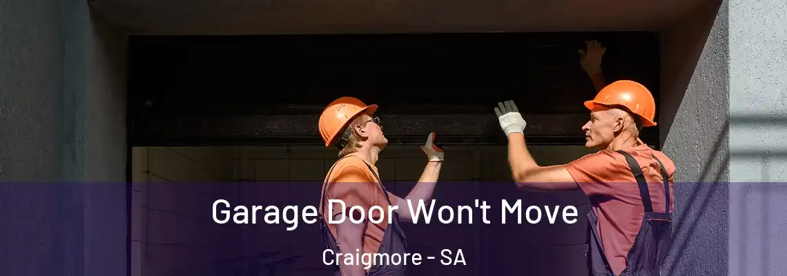 Garage Door Won't Move Craigmore - SA