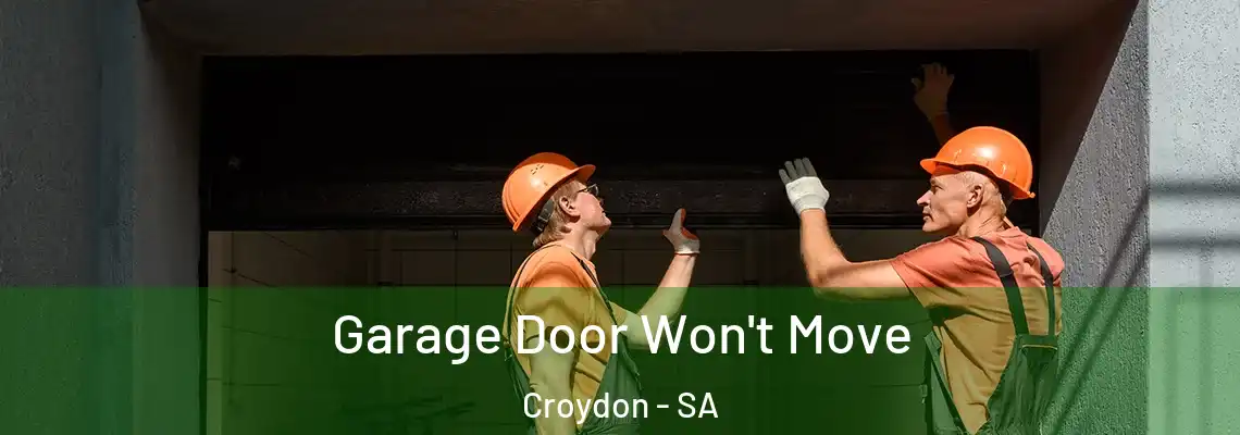 Garage Door Won't Move Croydon - SA