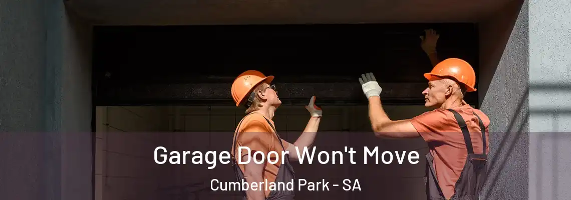 Garage Door Won't Move Cumberland Park - SA
