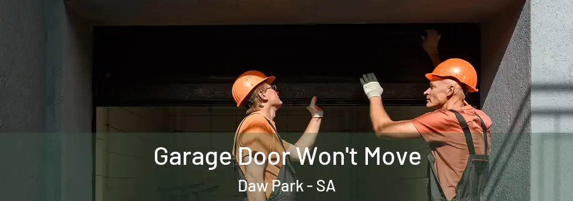 Garage Door Won't Move Daw Park - SA