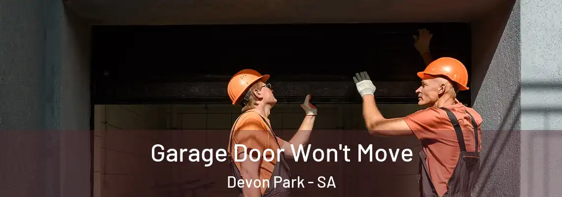 Garage Door Won't Move Devon Park - SA