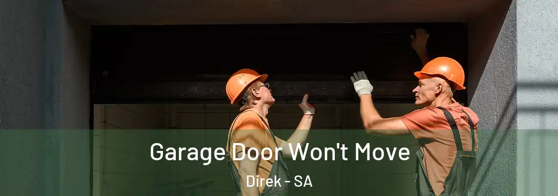 Garage Door Won't Move Direk - SA