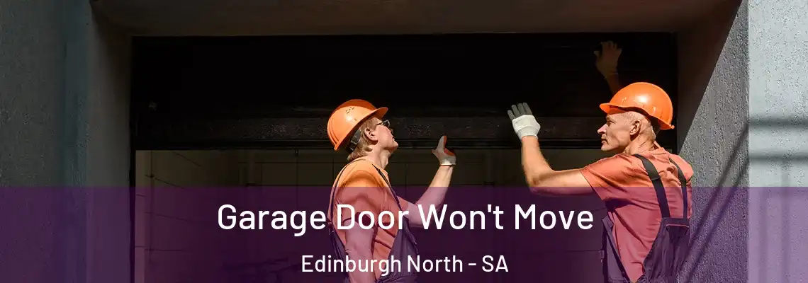  Garage Door Won't Move Edinburgh North - SA