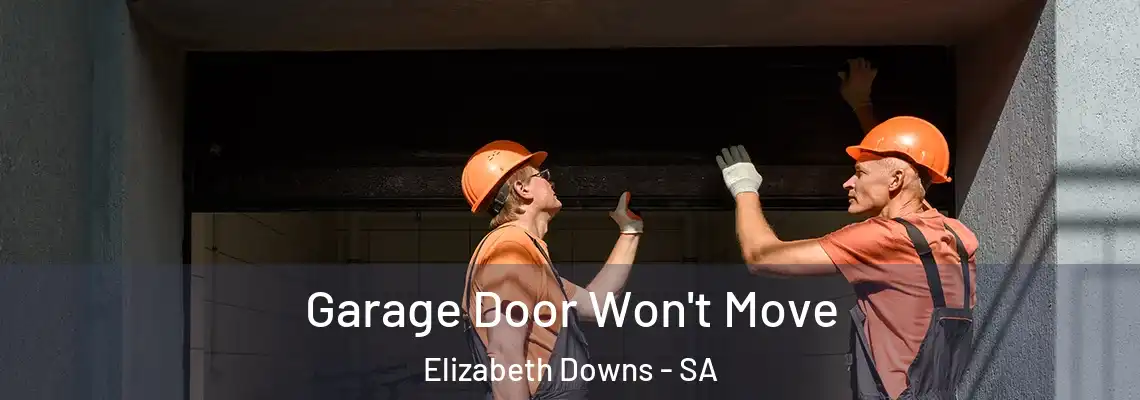 Garage Door Won't Move Elizabeth Downs - SA