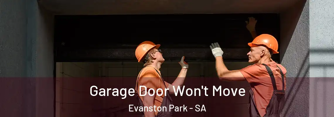 Garage Door Won't Move Evanston Park - SA