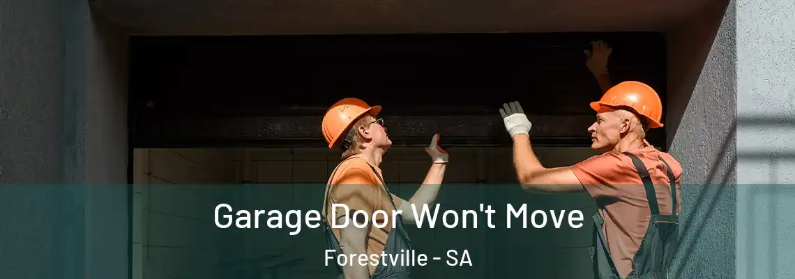 Garage Door Won't Move Forestville - SA
