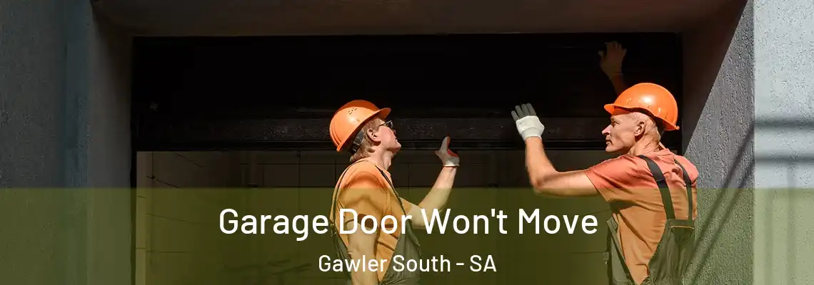 Garage Door Won't Move Gawler South - SA