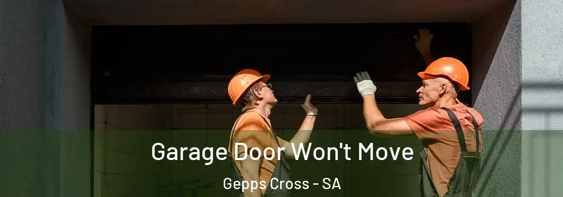 Garage Door Won't Move Gepps Cross - SA