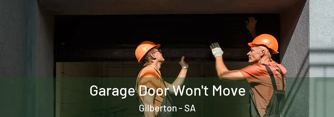 Garage Door Won't Move Gilberton - SA