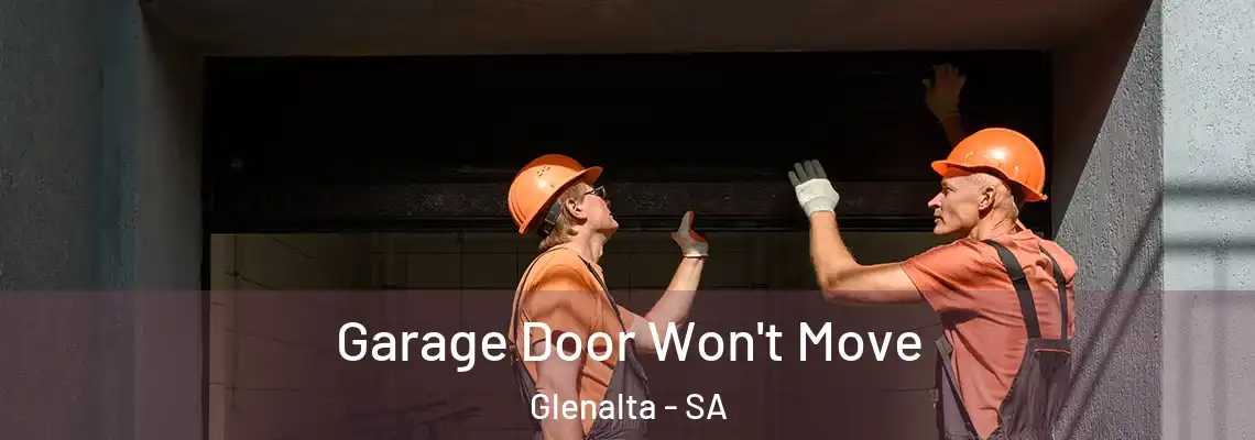  Garage Door Won't Move Glenalta - SA
