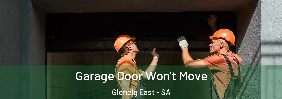Garage Door Won't Move Glenelg East - SA