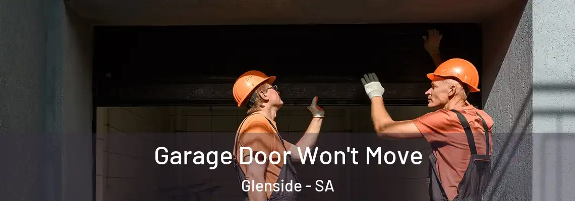 Garage Door Won't Move Glenside - SA