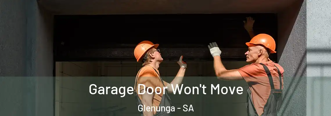 Garage Door Won't Move Glenunga - SA