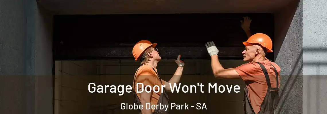 Garage Door Won't Move Globe Derby Park - SA