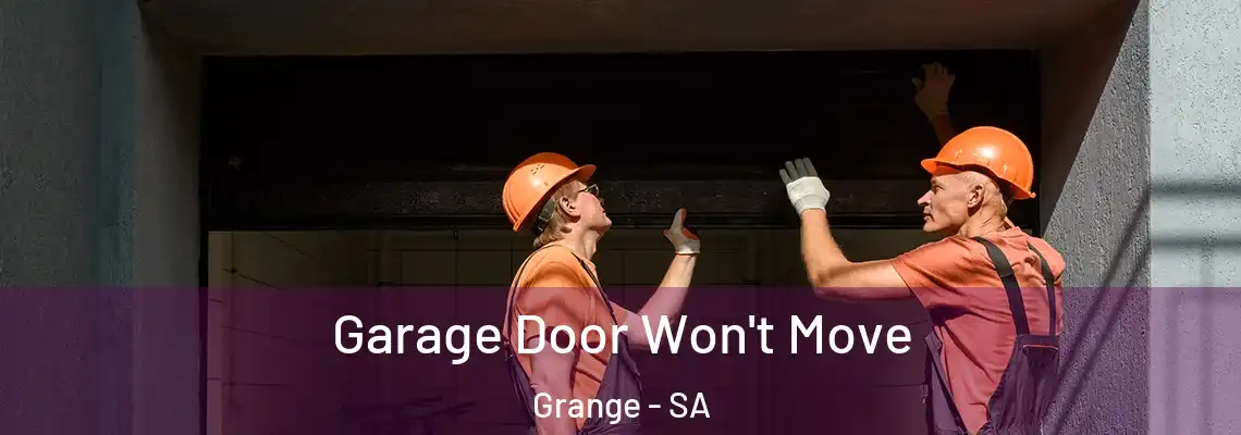  Garage Door Won't Move Grange - SA