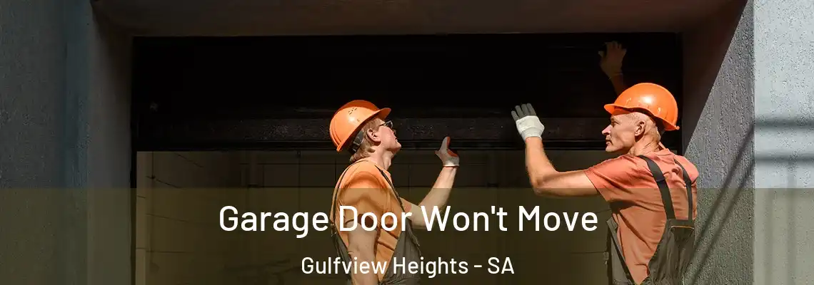 Garage Door Won't Move Gulfview Heights - SA