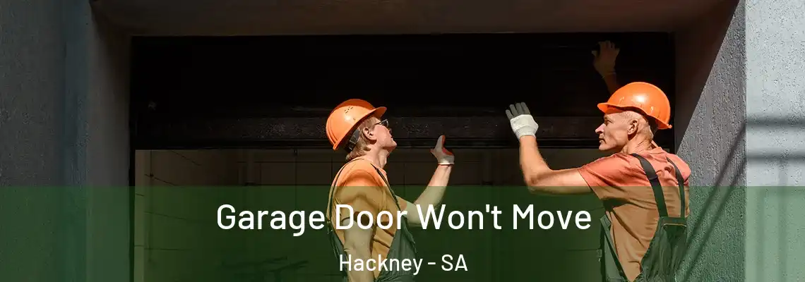 Garage Door Won't Move Hackney - SA