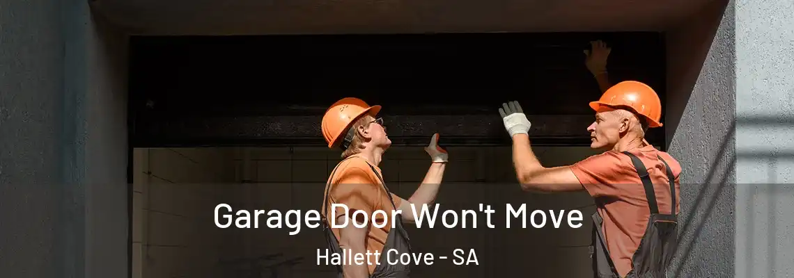 Garage Door Won't Move Hallett Cove - SA