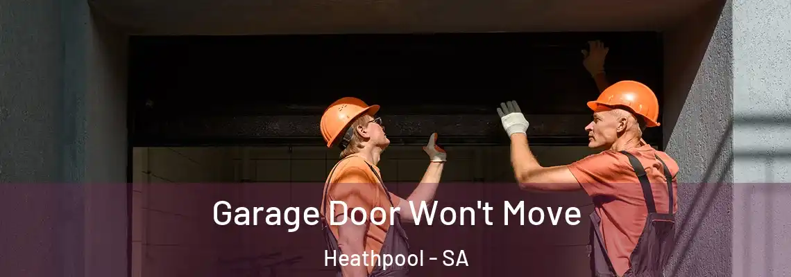 Garage Door Won't Move Heathpool - SA