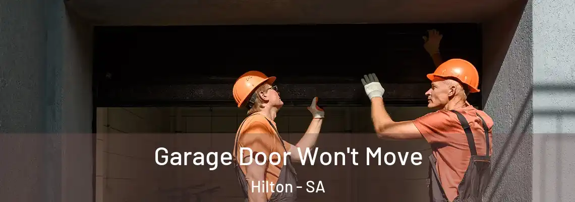 Garage Door Won't Move Hilton - SA