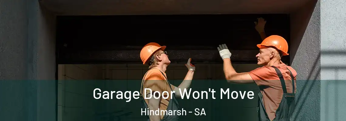 Garage Door Won't Move Hindmarsh - SA