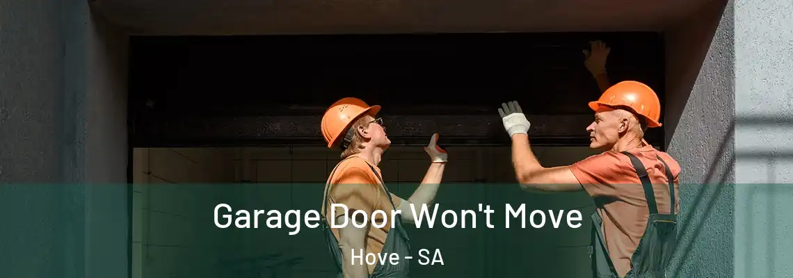 Garage Door Won't Move Hove - SA
