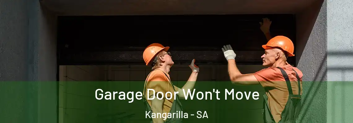 Garage Door Won't Move Kangarilla - SA