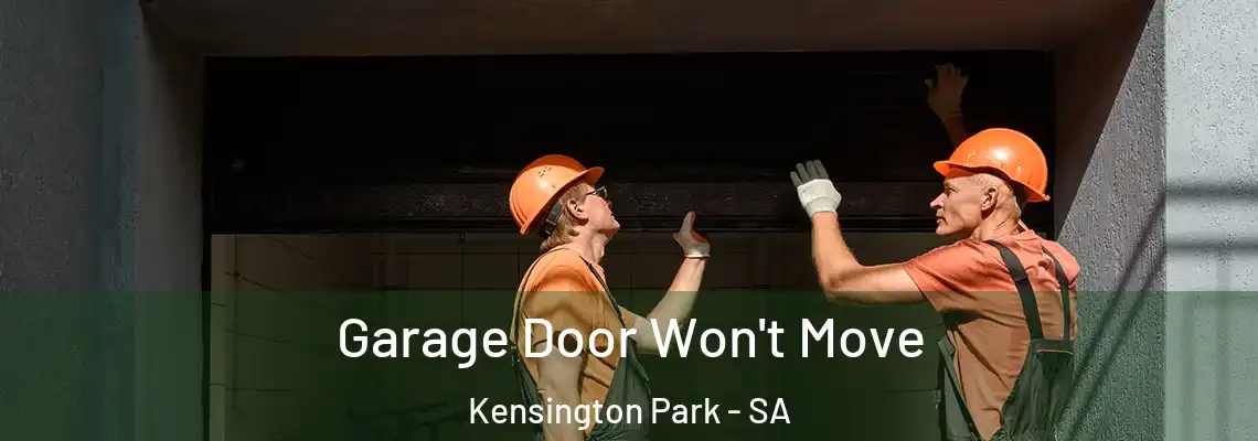  Garage Door Won't Move Kensington Park - SA