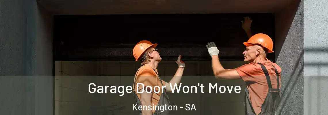  Garage Door Won't Move Kensington - SA