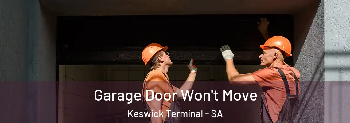 Garage Door Won't Move Keswick Terminal - SA