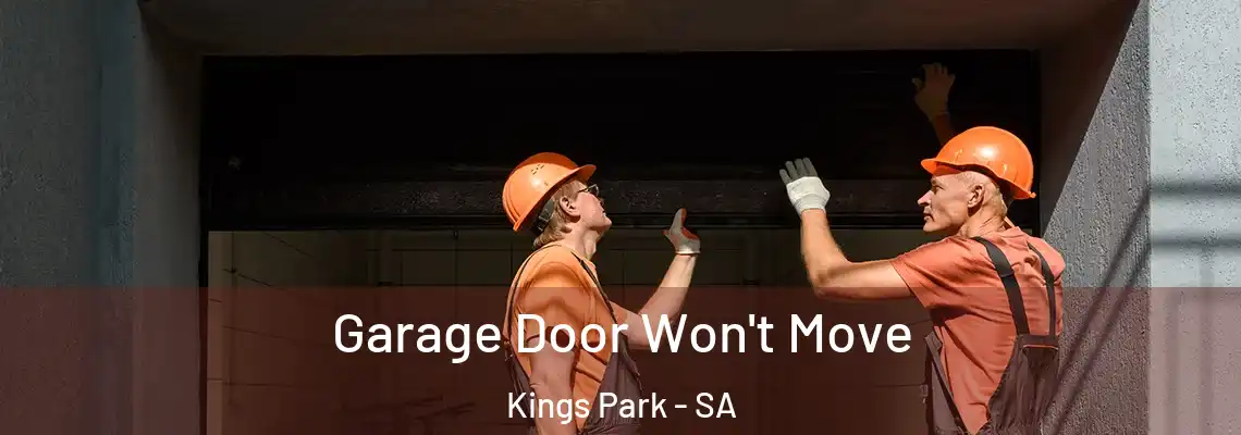 Garage Door Won't Move Kings Park - SA