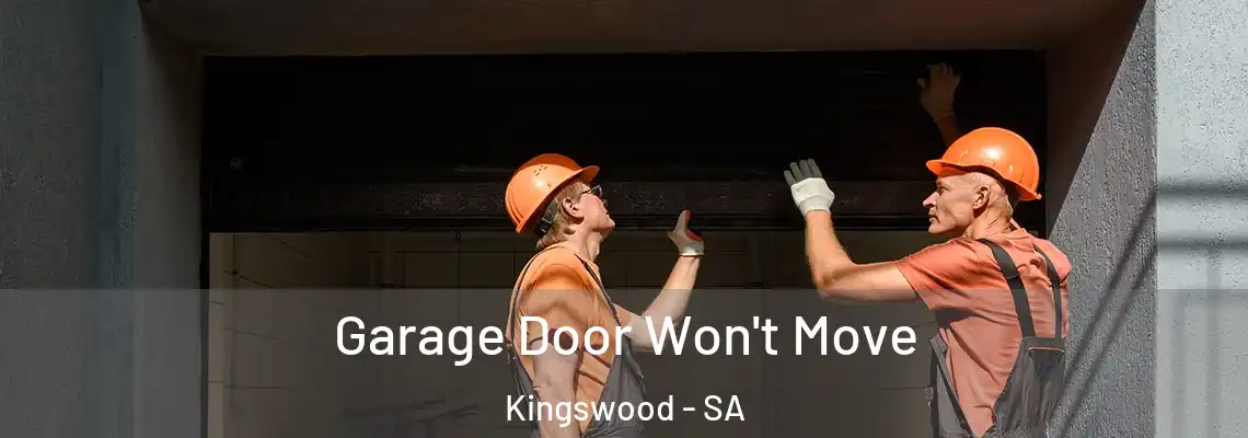 Garage Door Won't Move Kingswood - SA