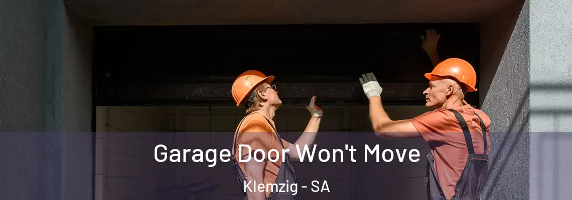 Garage Door Won't Move Klemzig - SA