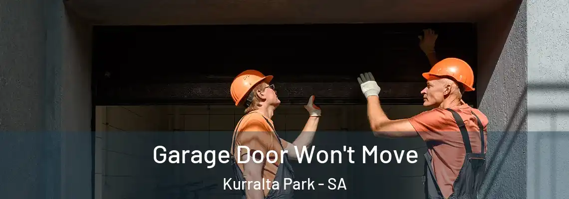 Garage Door Won't Move Kurralta Park - SA