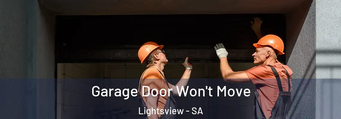 Garage Door Won't Move Lightsview - SA