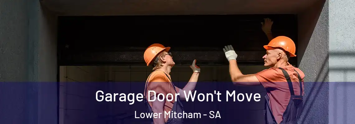  Garage Door Won't Move Lower Mitcham - SA