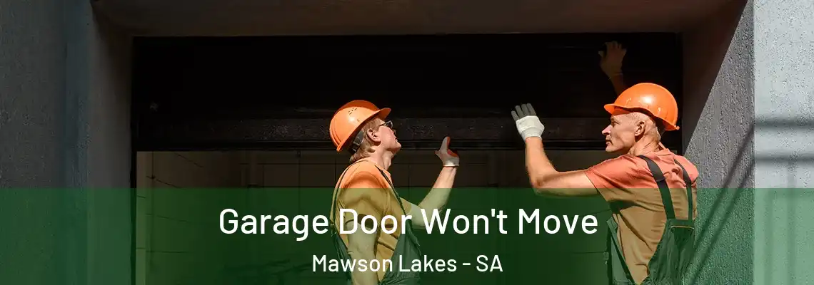  Garage Door Won't Move Mawson Lakes - SA
