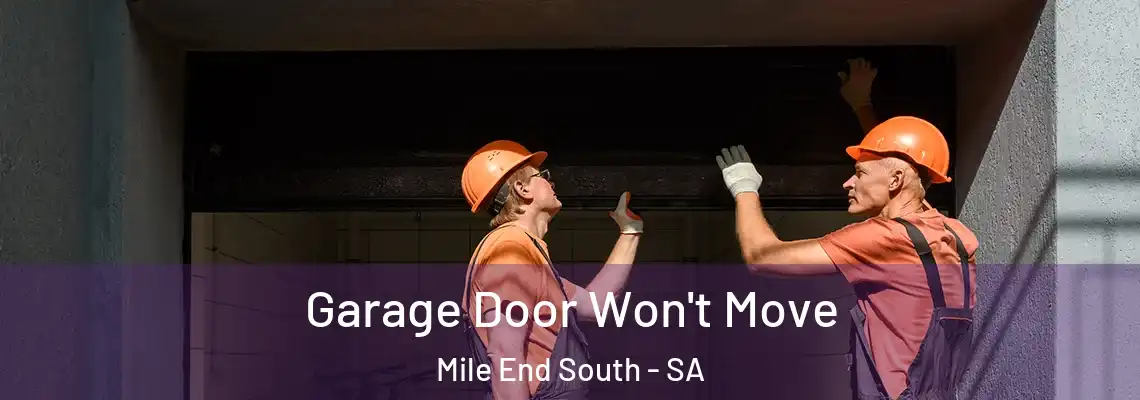 Garage Door Won't Move Mile End South - SA