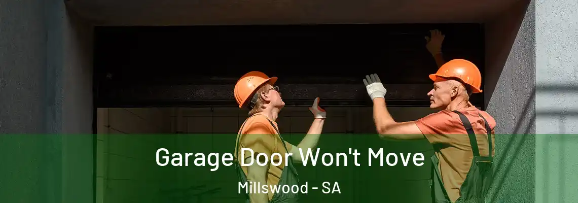  Garage Door Won't Move Millswood - SA