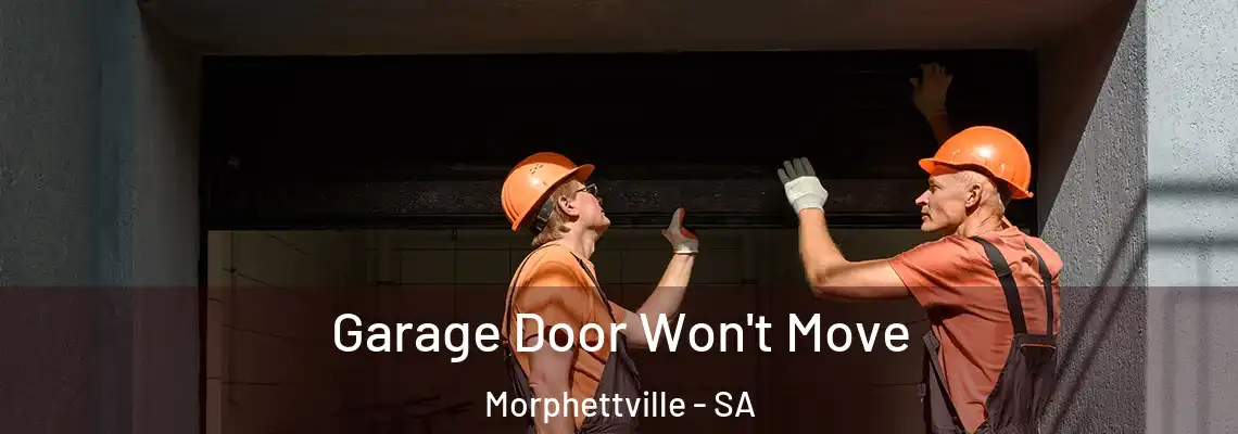 Garage Door Won't Move Morphettville - SA