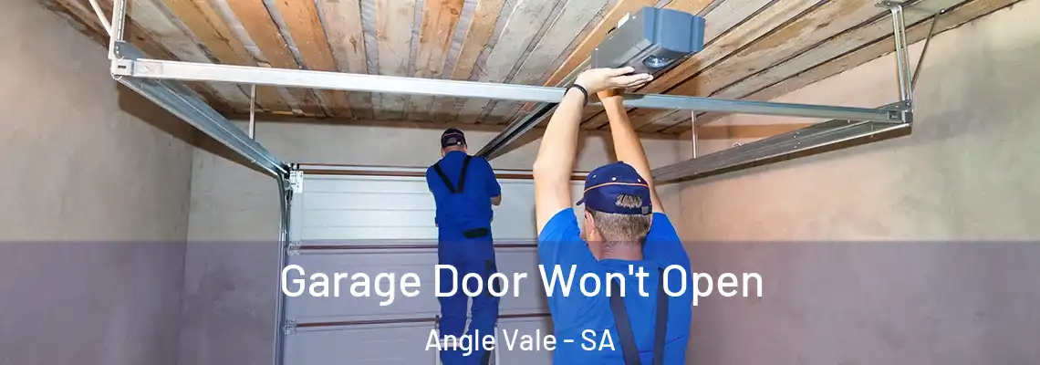 Garage Door Won't Open Angle Vale - SA
