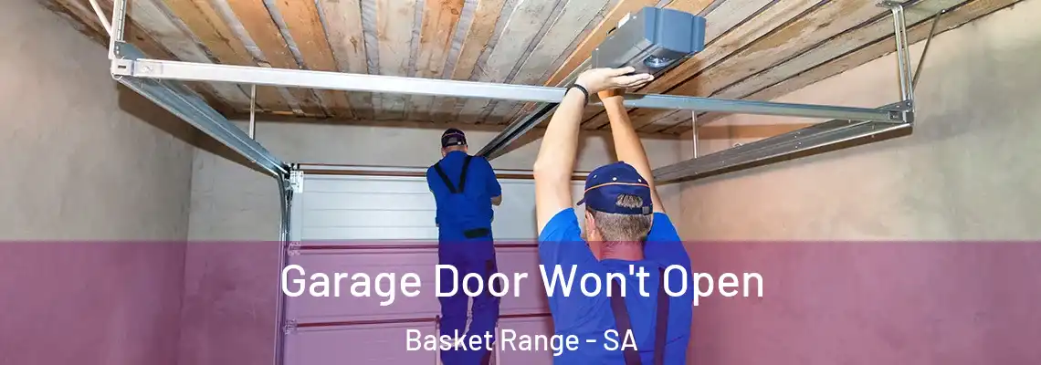 Garage Door Won't Open Basket Range - SA